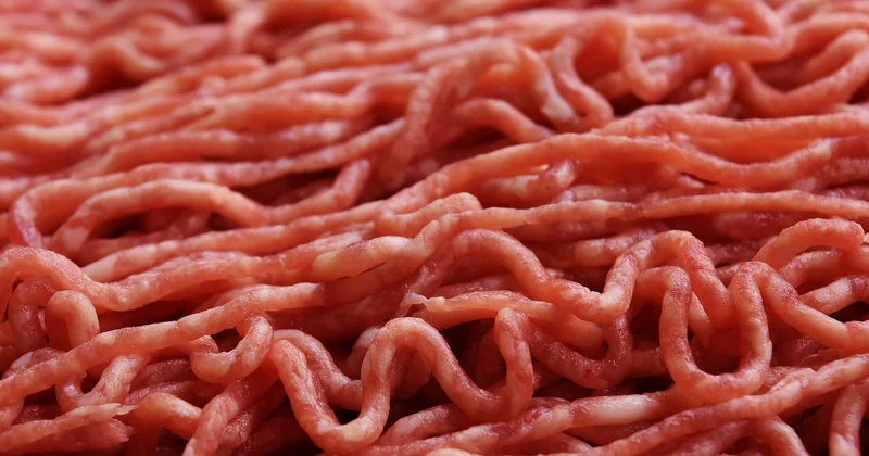 Poulet, bœuf effiloché, carnitas : quelle viande choisir ?