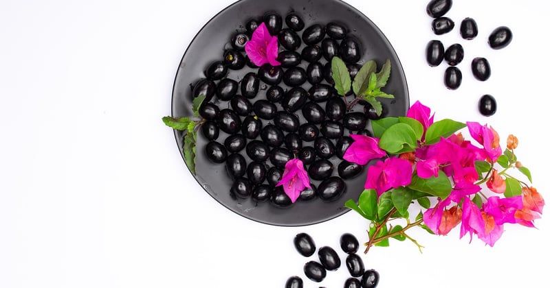 Tapenade provençale aux olives noires : la recette authentique et facile